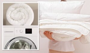 Clean Duvet - AEG Cleaning Service