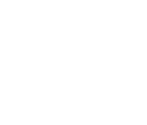 Domestic Cleaning Business Network